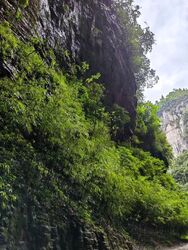 jalan-anak-bukit photo thumbnail #15
